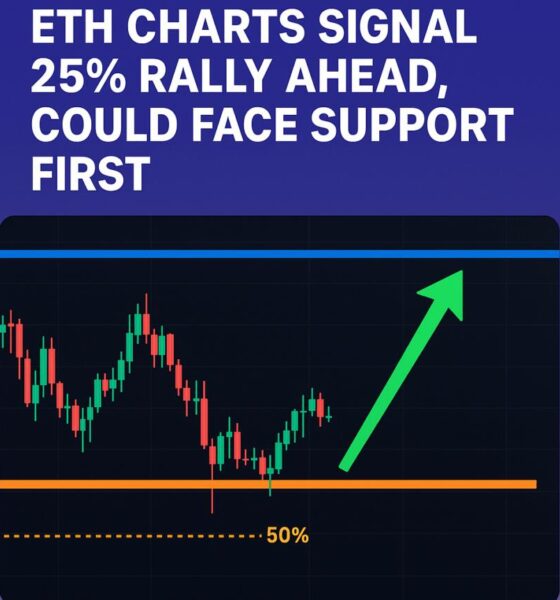 Crypto Breaking News