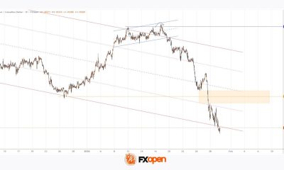 USD/CAD Falls Below the 2025 Low