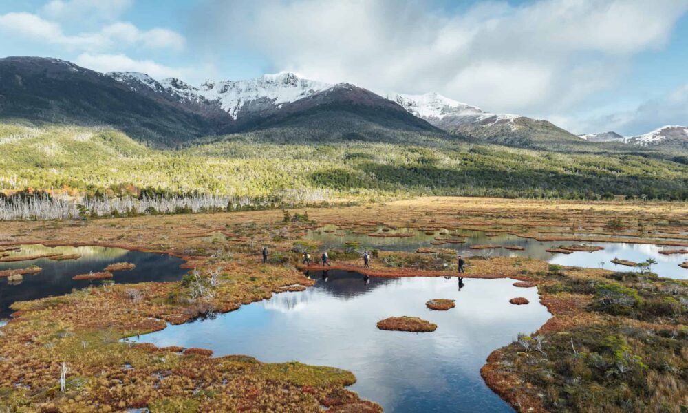 What went right this week: conservation at ‘end of the world’, plus more