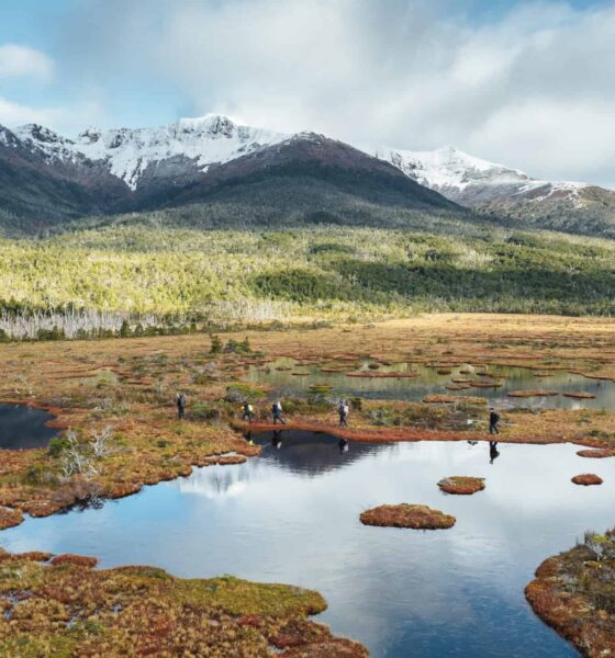 What went right this week: conservation at ‘end of the world’, plus more