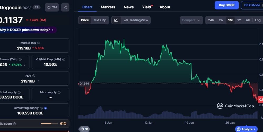 Dogecoin Price Graph via CoinMarketCap