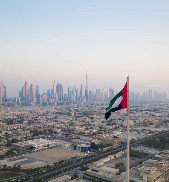 dubai uae flag