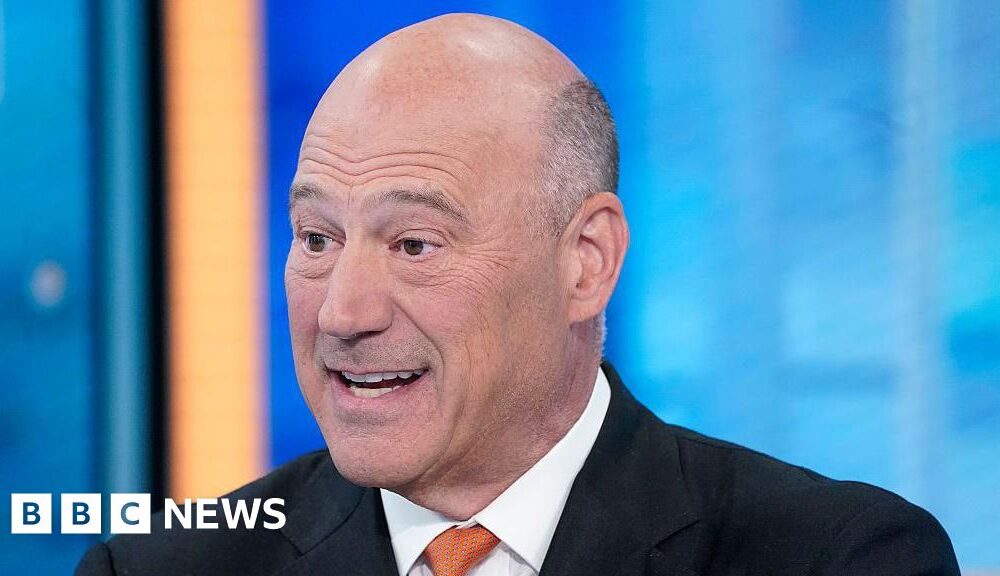 Greenland 'will stay Greenland', former Trump adviser declares