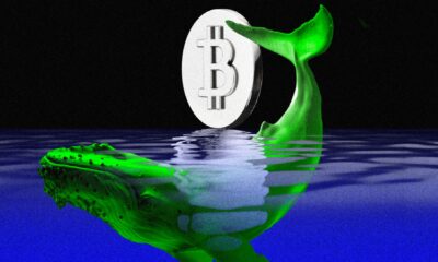 Why Is The Crypto Market Up Today?