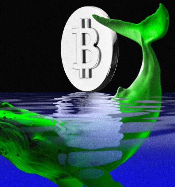 Why Is The Crypto Market Up Today?