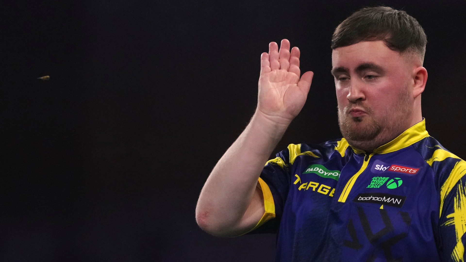 What is the Ally Pally wasp that keeps attacking darts and snooker players?