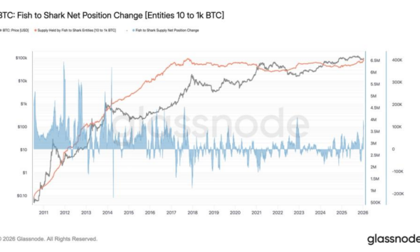 Large bitcoin holders buy the most coins since the FTX collapse of 2022