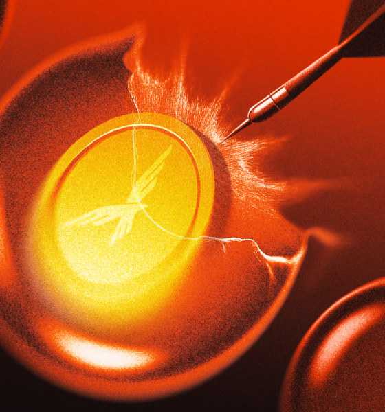 Why Is The Crypto Market Up Today?