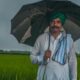 How I’m helping rice farmers in India harness the power of fungi in the soil
