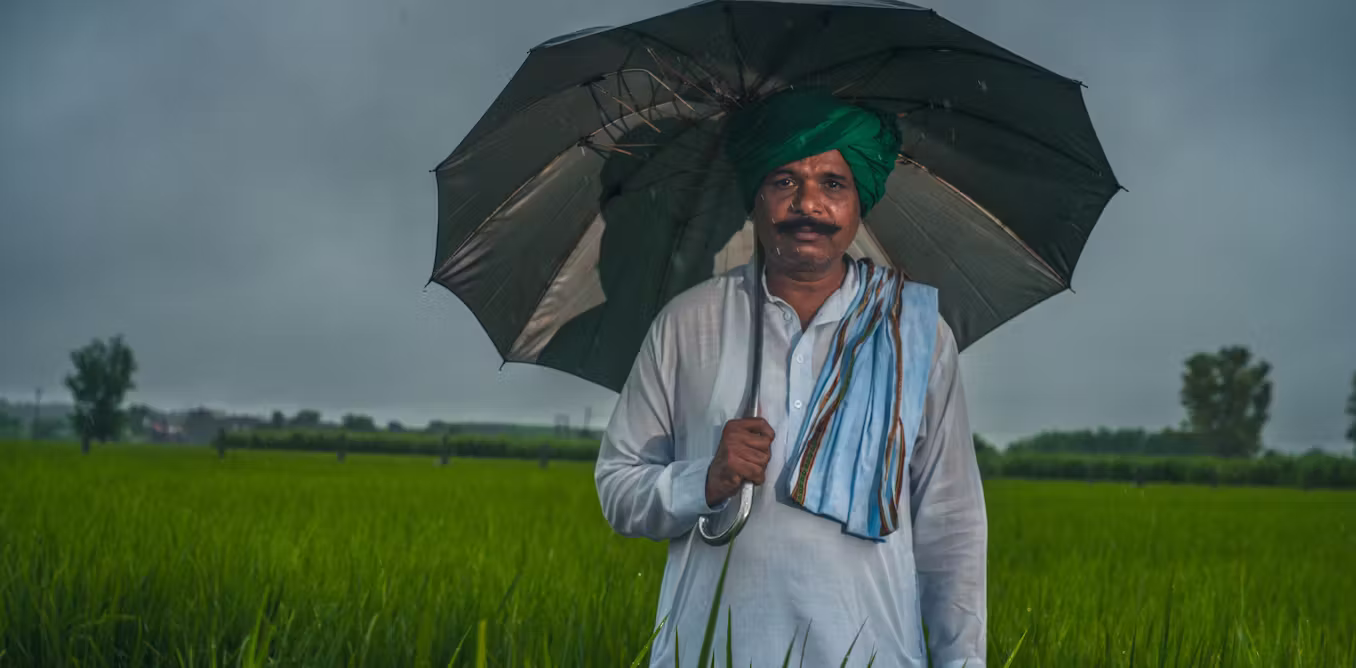 How I’m helping rice farmers in India harness the power of fungi in the soil