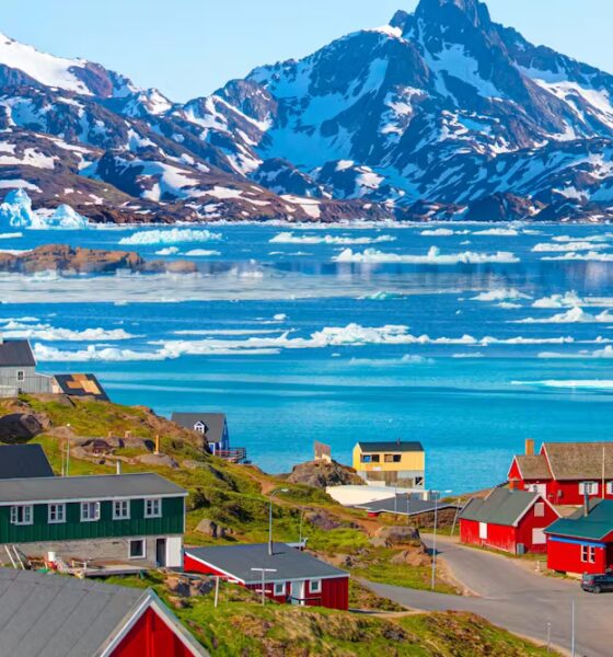 US action against Greenland would undermine Nato, but now is not the time to panic