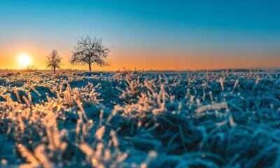 seven tips to entice you outside and dose yourself up with joy