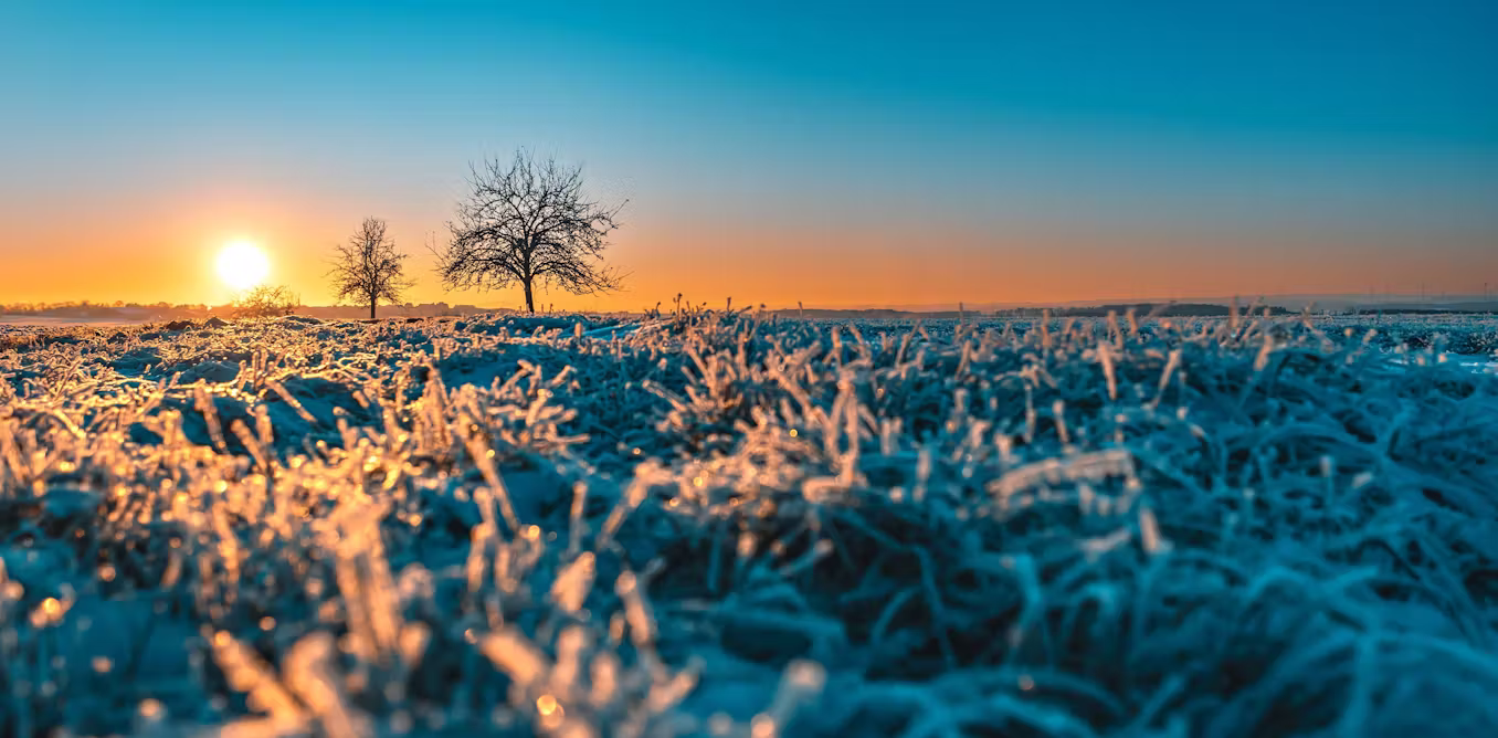 seven tips to entice you outside and dose yourself up with joy