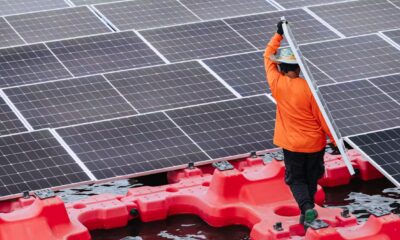 A few reasons to feel hopeful about the climate in 2026