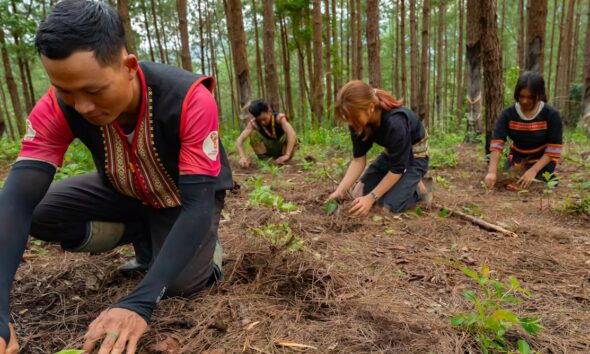 Why restoring nature can work so much more effectively when led by local people
