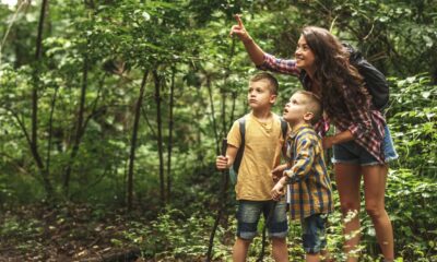 Paying attention to birdsong while walking in nature can boost wellbeing, my research shows