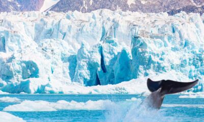 Why Greenland plays an outsized role in climate change science