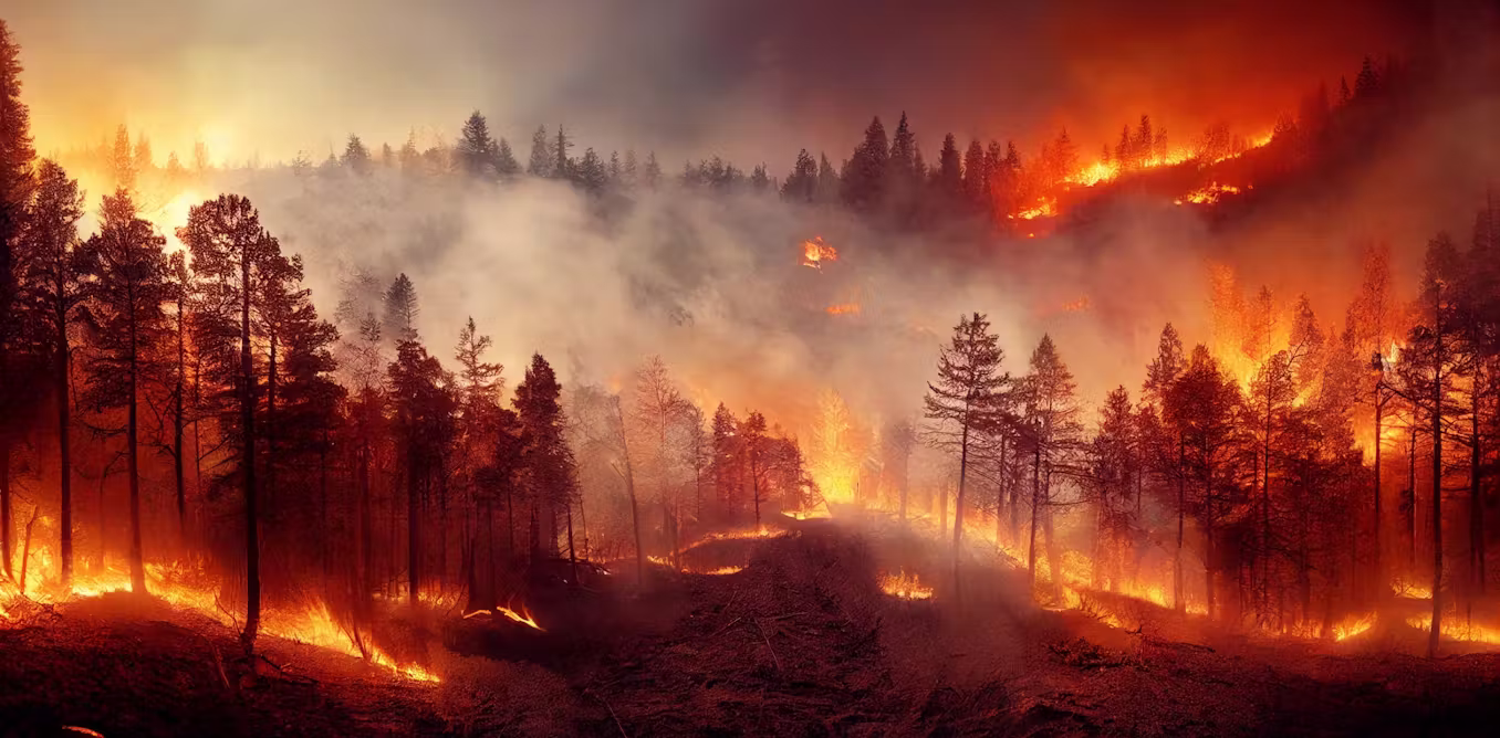 how old is fire on Earth?