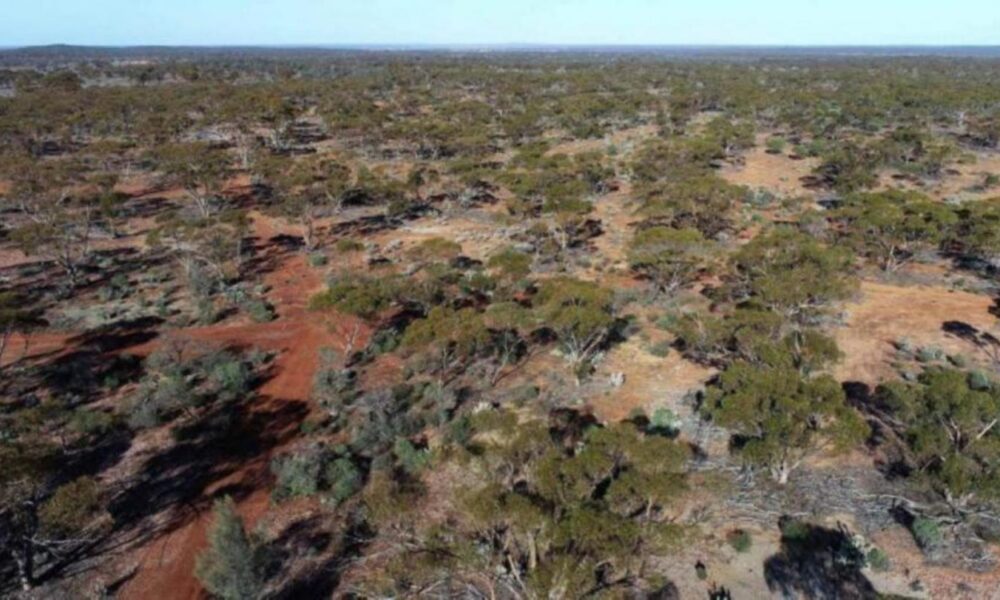 Metallium secures inaugural binding feedstock agreement with Glencore