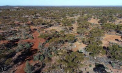 Metallium secures inaugural binding feedstock agreement with Glencore