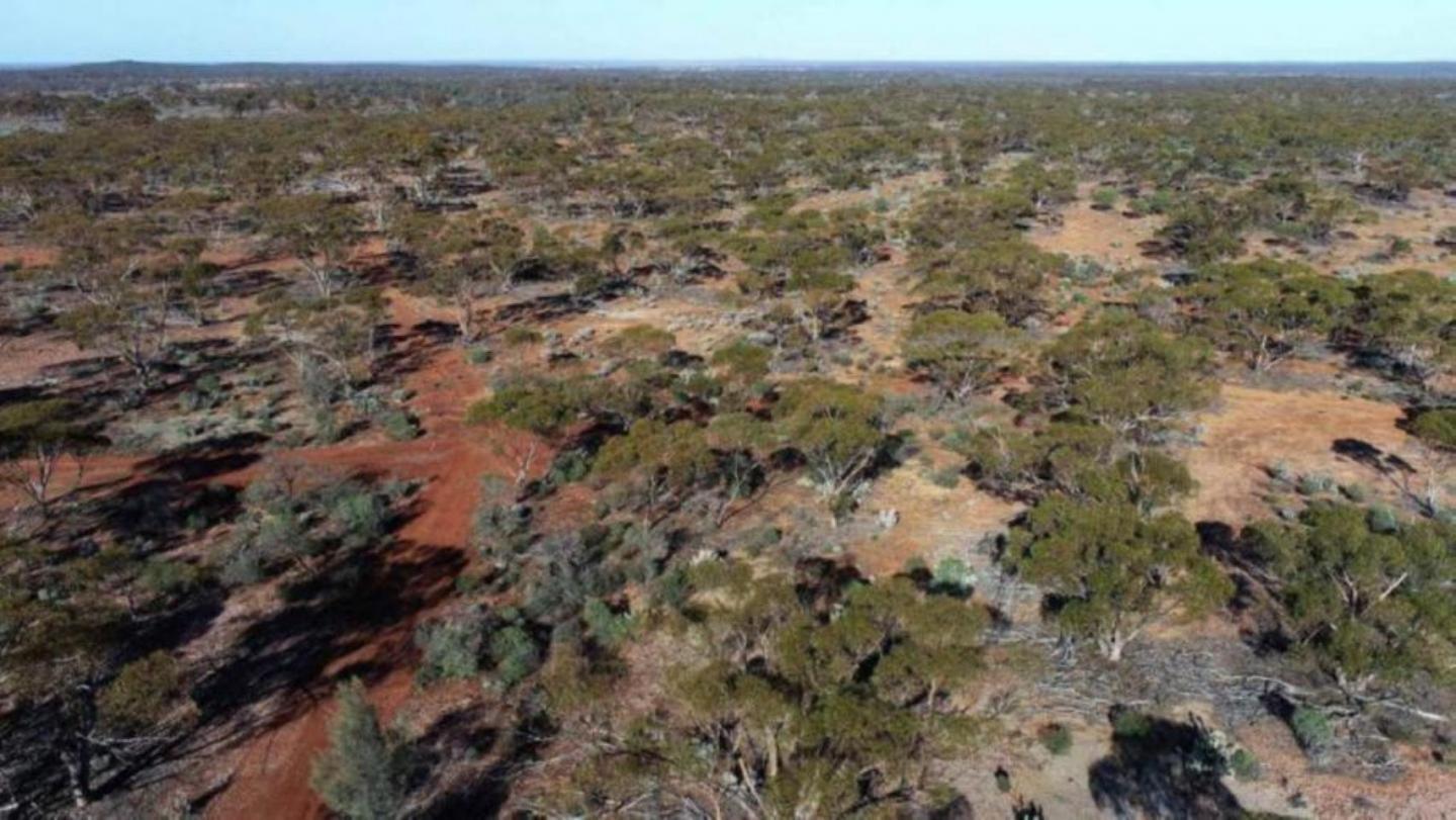 Metallium taps investors for $75m