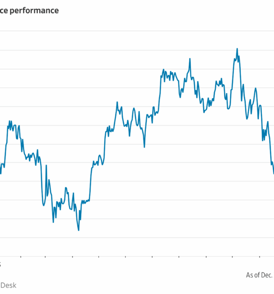 Vicky Ge Huang hedcut