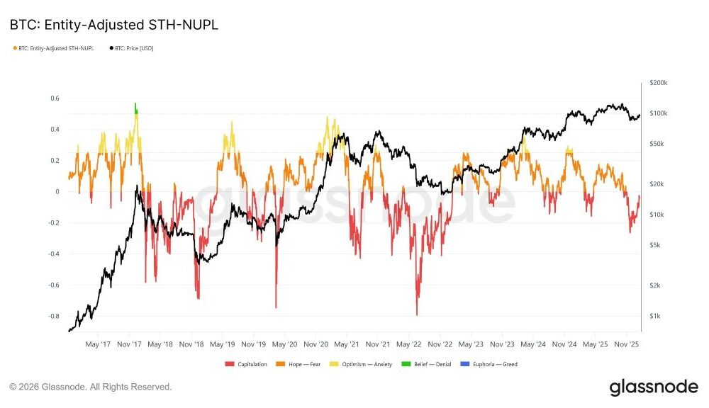 Bitcoin's New Buyers - Entity-Adjusted STH-NUPL