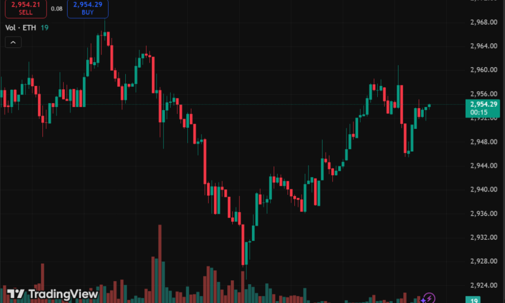 Crypto Fundamentals Hit Records in Q4 2025 as Prices Lagged