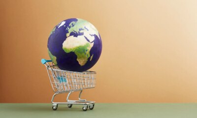 CHW: Strong Dividend Coverage And Attractive Valuation (NASDAQ:CHW)