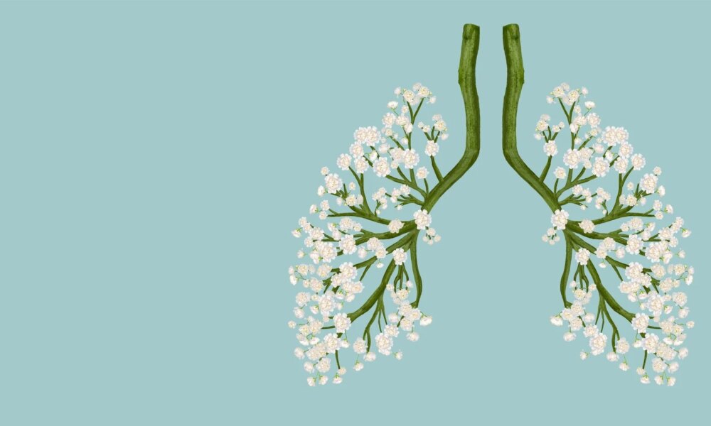 ArriVent BioPharma (AVBP): Its Leading Asset, Furmonertinib, Supports A Cautious Buy