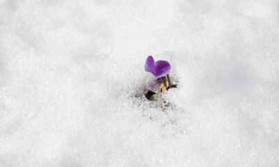 Marvell Technology Stock: The AI Data Path Trade After GPU Excess (NASDAQ:MRVL)