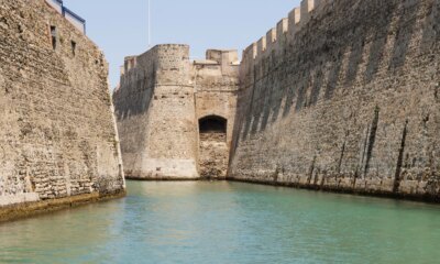 Back To Fundamentals: 3 Resilient Picks For 2026