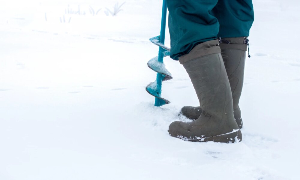 Q2 Metals: The Cisco Project Keeps Growing