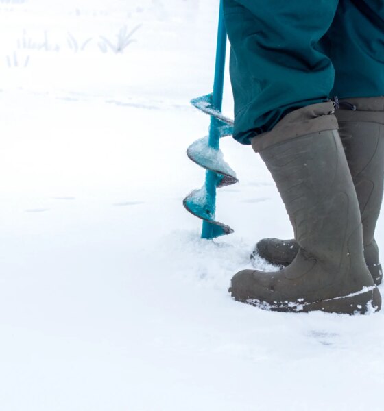 Q2 Metals: The Cisco Project Keeps Growing