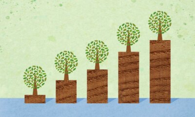 ClearBridge Large Cap Growth ESG Portfolios Q3 2025 Commentary