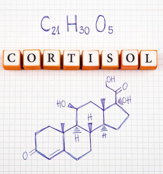 A Risky Spot For Corcept Therapeutics