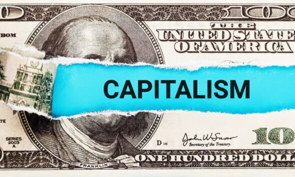 Reintroducing An Old Divide: State-Owned Vs. Market-Owned Capitalism