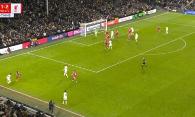 Harrison Reed scores screamer for Fulham vs Liverpool