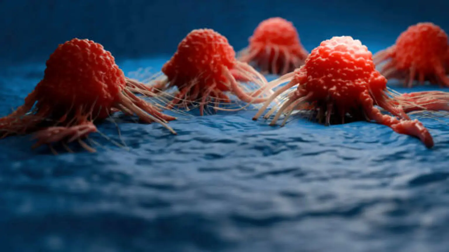 Alpha Tau: Pancreatic, GBM, And Other Updates; Set Up For A Strong, Catalyst-Rich 2026