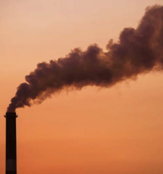 TPZ: Why Energy Investors Should Not Only Chase Dividends (NYSE:TPZ)