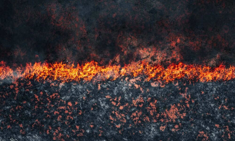 The December CPI May Bring A Hot Surprise For Markets