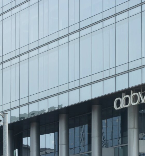 AbbVie: Solid Growth, Some Risks, And An Attractive Setup In 2026