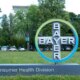 Bayer: Timing Upside In 2025, More Upside Possible But Risky In 2026E (Downgrade) (BAYZF)