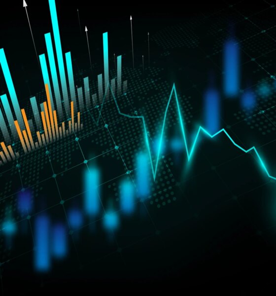 Fidelity Small Cap Growth Fund Q3 2025 Commentary (FCPGX)