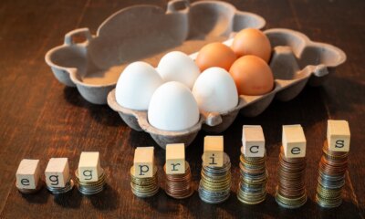 Cal-Maine Foods: Prepared Better Than Ever For This Brutal Downcycle (NASDAQ:CALM)