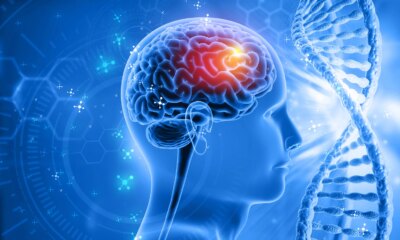 The Brain: From Black Box To Engineering Problem