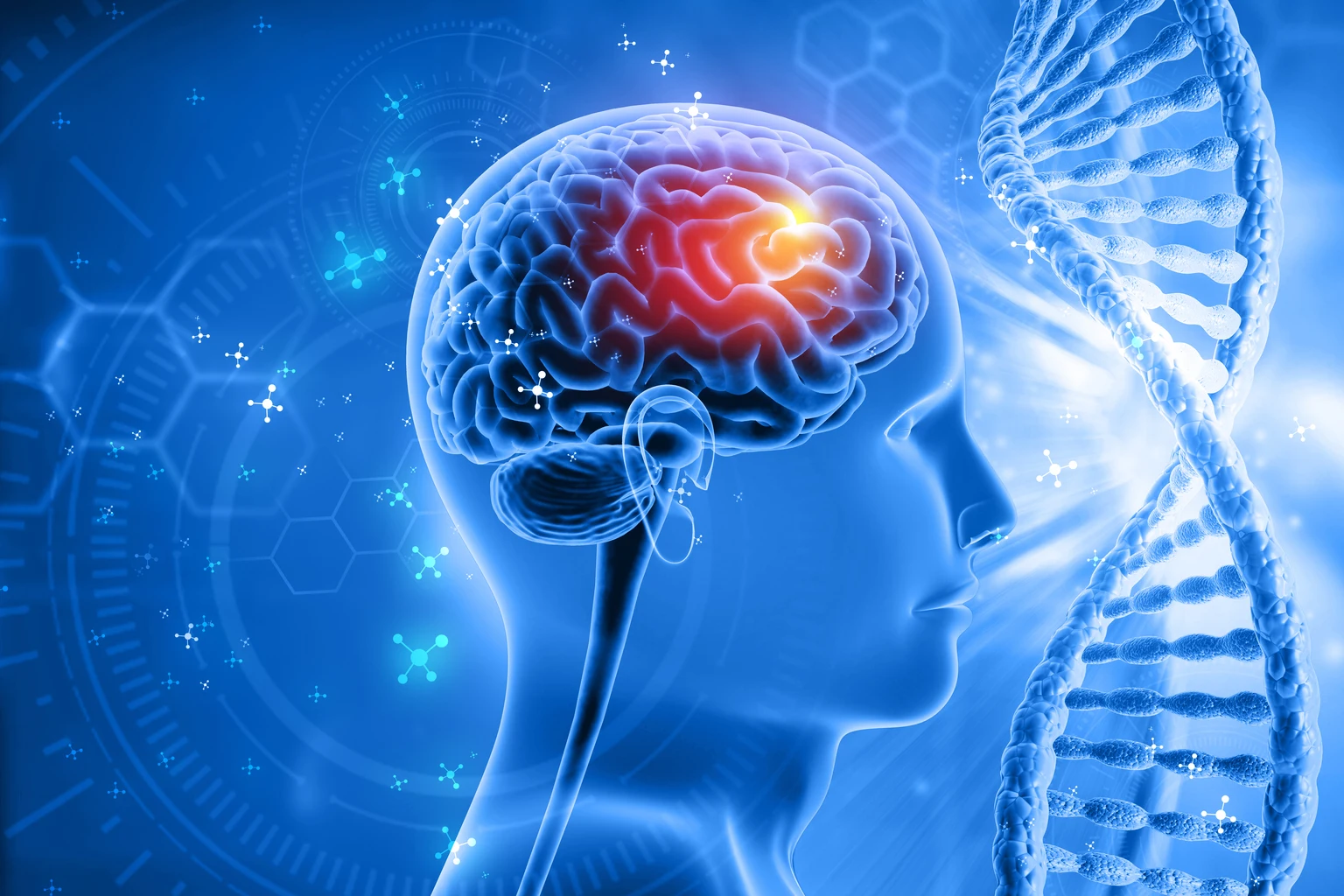 The Brain: From Black Box To Engineering Problem