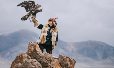 Gladstone Investment: Hunting High Yields From The Baby Bonds (NASDAQ:GAIN)