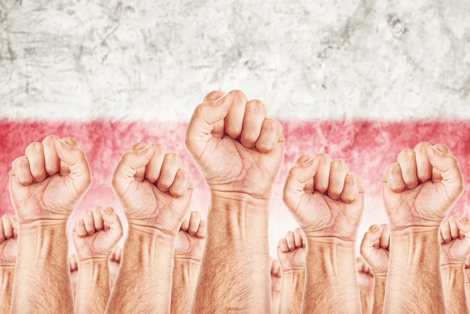 Dino Polska: Are Unions About To Bite This Growth Story?