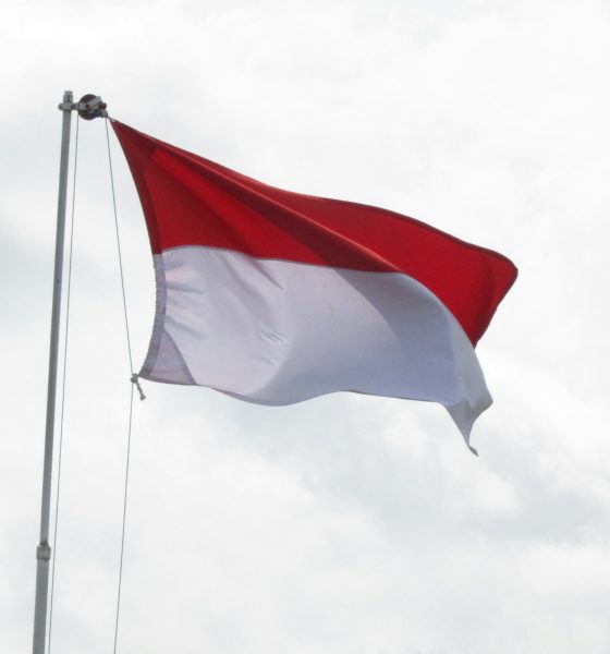 Indonesia Flag